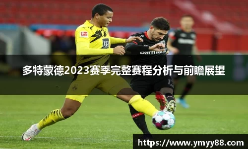 多特蒙德2023赛季完整赛程分析与前瞻展望