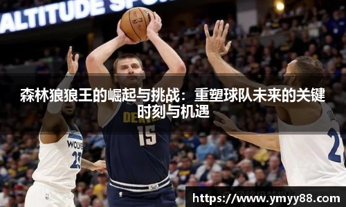 森林狼狼王的崛起与挑战：重塑球队未来的关键时刻与机遇