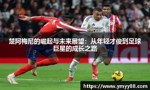 raybet雷竞技官网入口