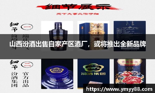 raybet雷竞技官网入口